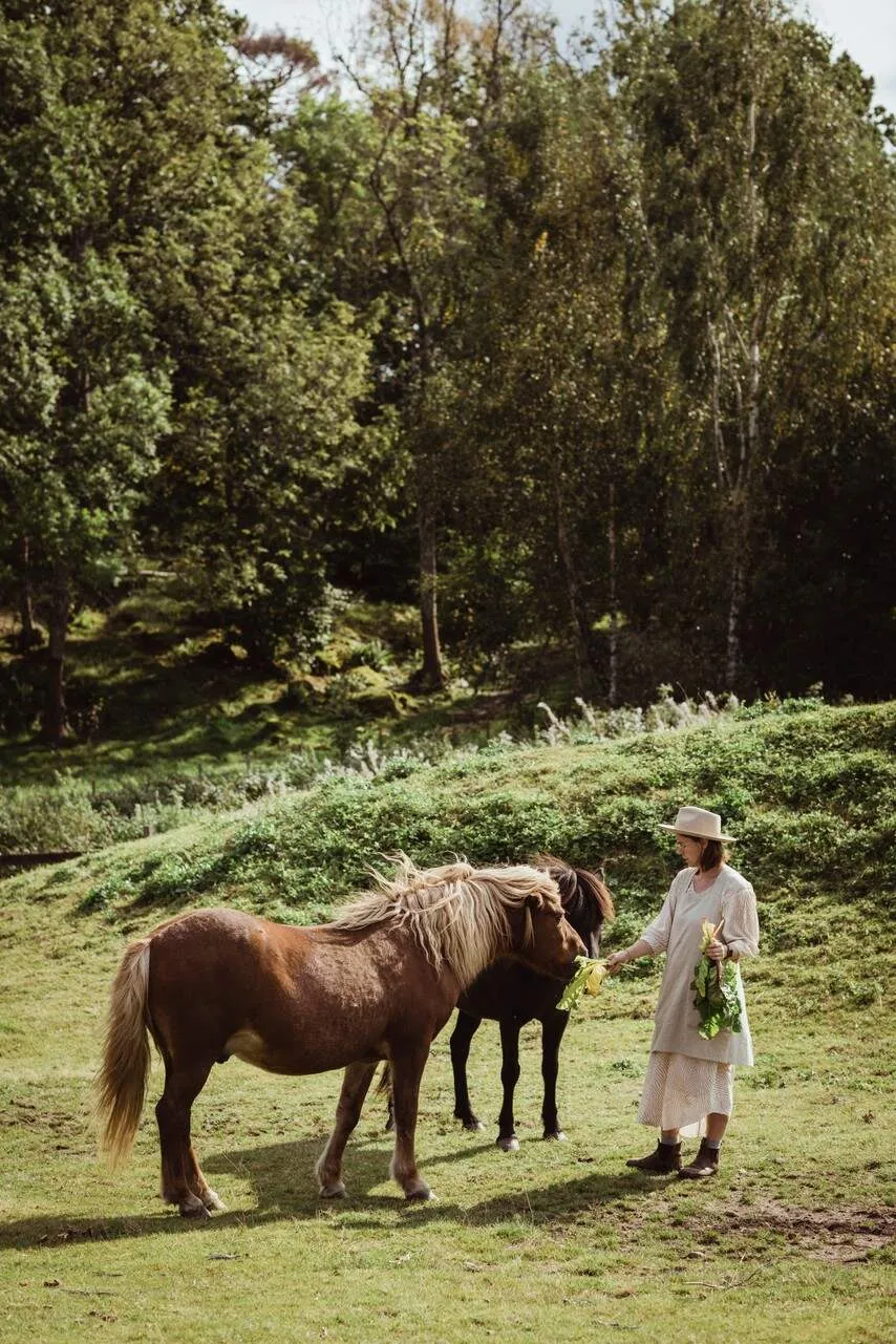 स्वीडन में सुविधाजनक किसान का कॉटेज, जिसमें बड़ा बगीचा है। - Gallery image 13