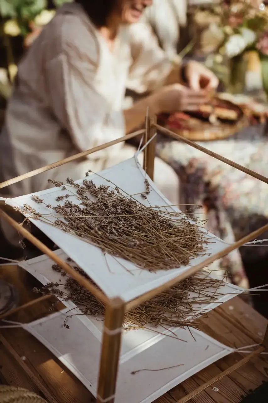 स्वीडन में सुविधाजनक किसान का कॉटेज, जिसमें बड़ा बगीचा है। - Gallery image 12