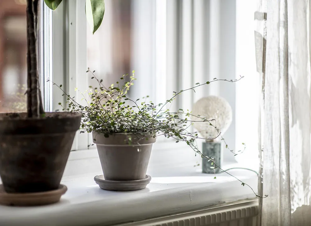 Jak za pomocą mebli stworzyć nowoczesny i elegancki wnętrze (75 m²) - 5