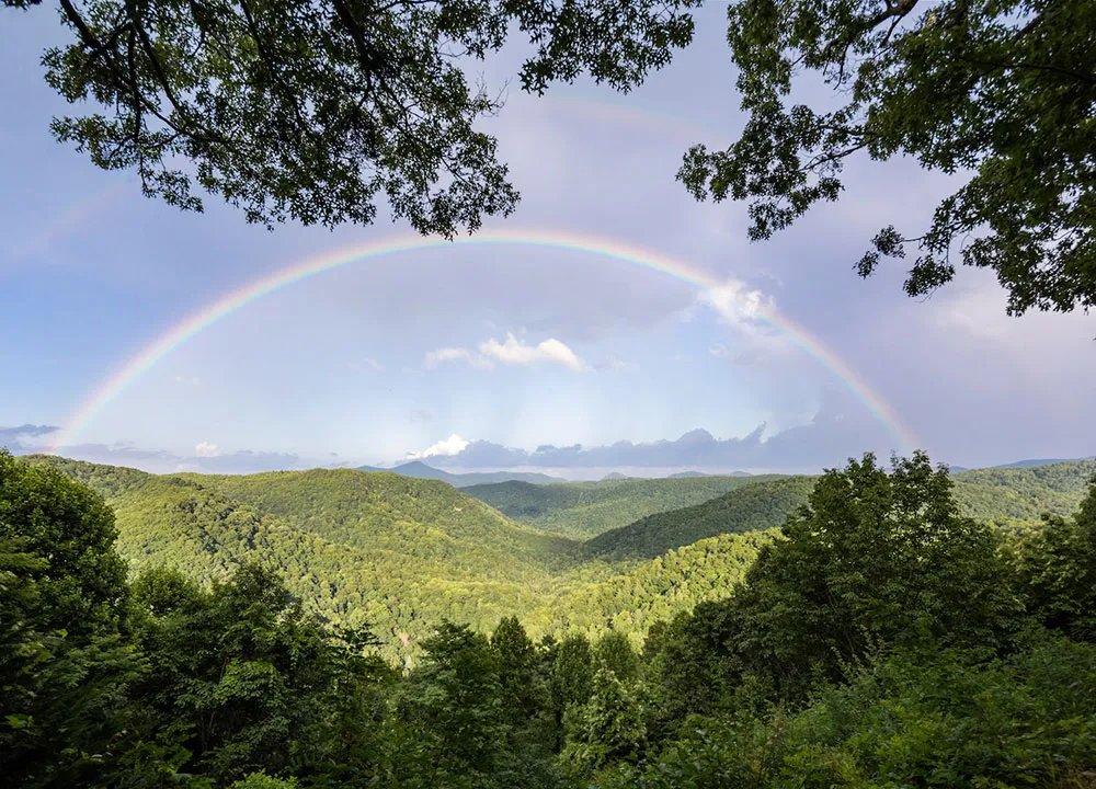Un nid confortable et magnifique de designer dans les montagnes de la Caroline du Nord - Gallery image 16