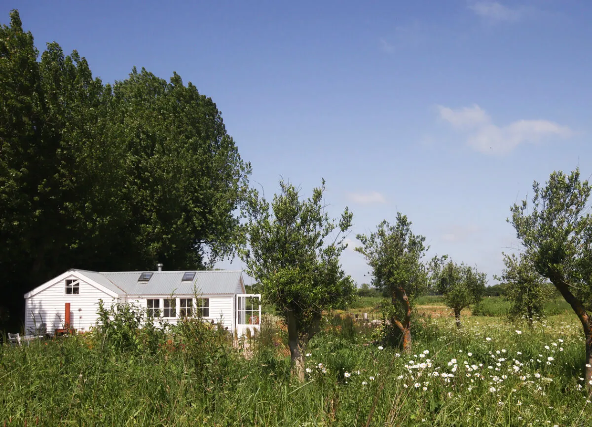 緑に囲まれた美しい白いコテージ - Gallery image 24