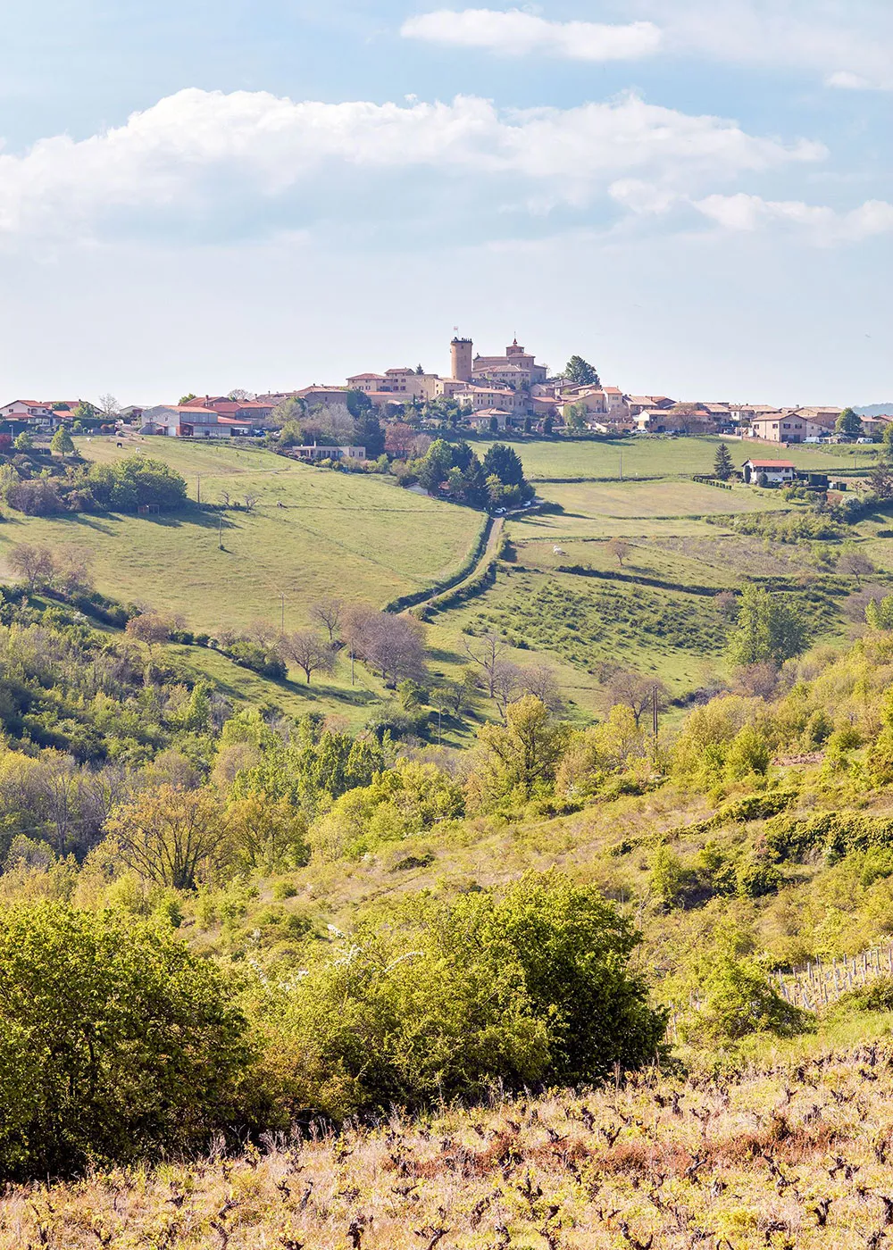 Interesting Eclecticism in a Historic Manor House in France - Gallery image 11