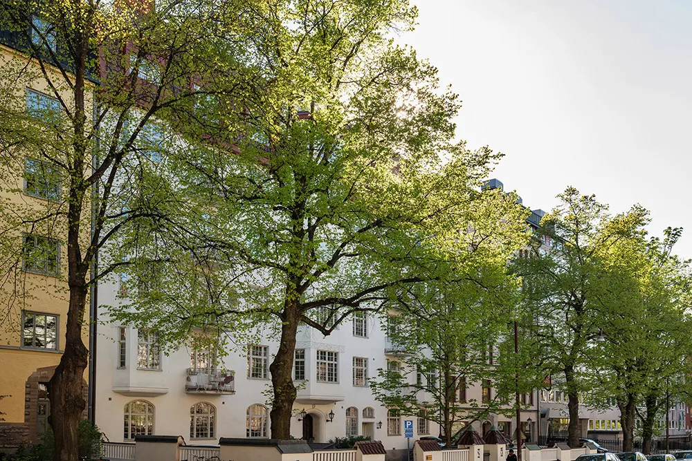 Elegancka szkocka apartament w miękkim dnia świetle - Gallery image 34