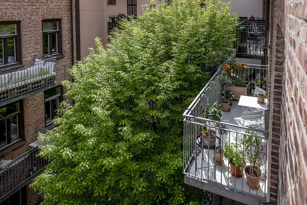 Intérieur scandinave cosy avec tapis mur - Gallery image 22