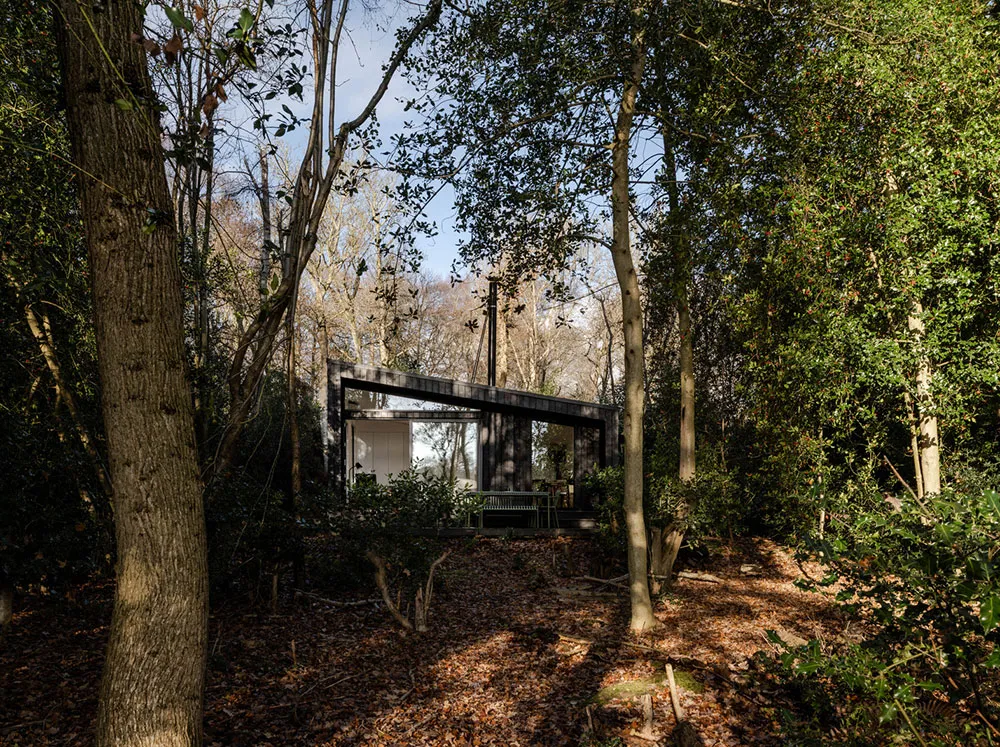 Czarny z zewnątrz i bardzo jasny w środku: nowoczesny domek w lesie w Anglii - Gallery image 20