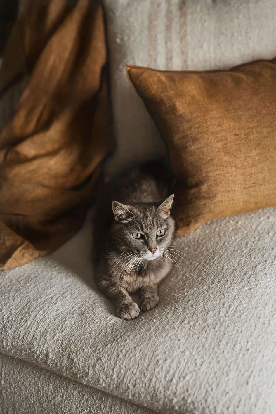 Douceur naturelle dans un merveilleux domaine historique en France - Gallery image 2