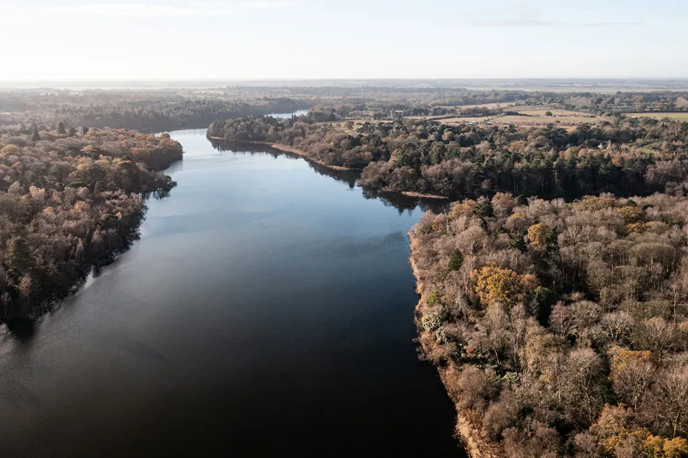Czarny z zewnątrz i bardzo jasny w środku: nowoczesny domek w lesie w Anglii - Gallery image 23