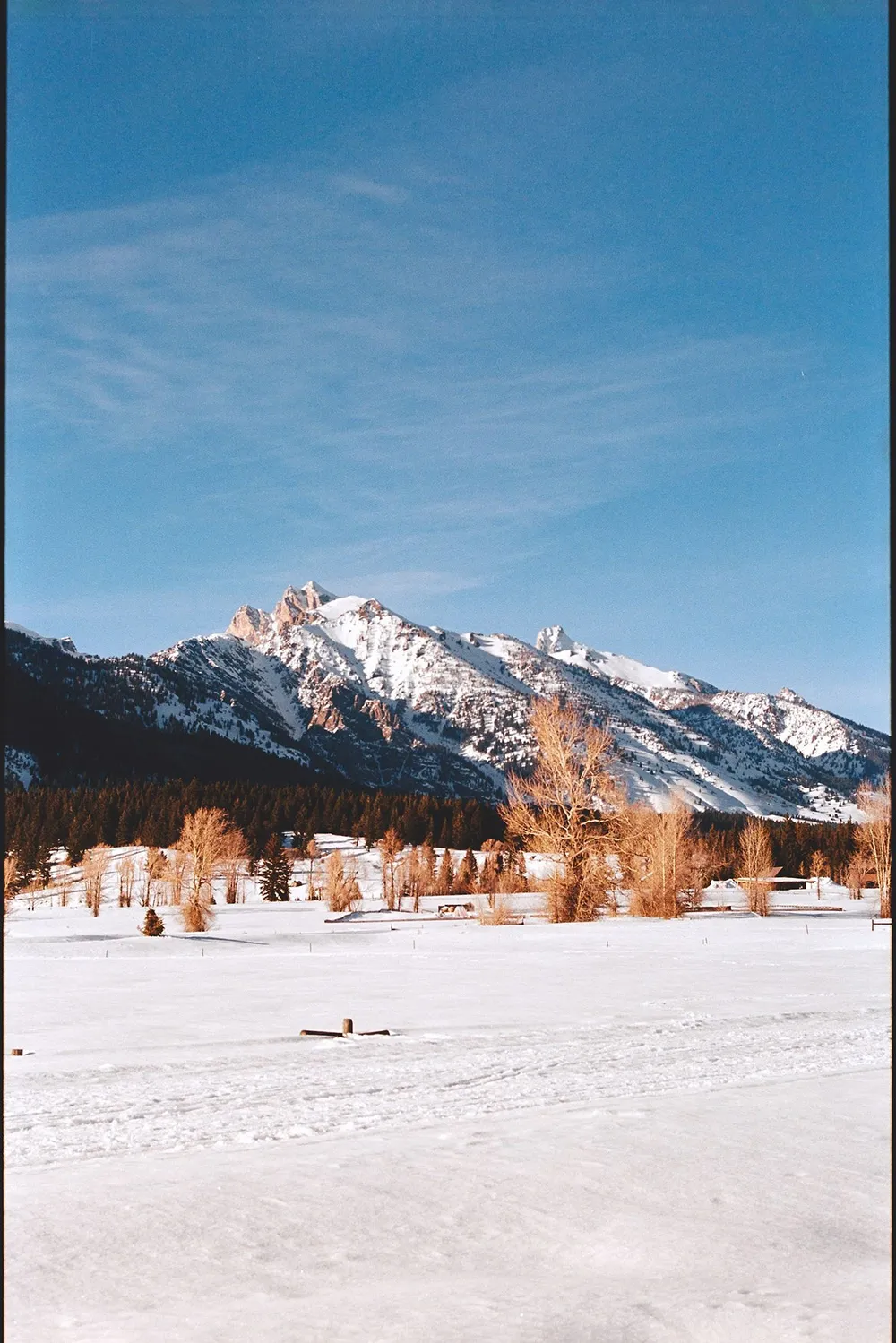 Гірський будинок без стереотипів: незвичайний котедж від відомості в Вайомінгу - Gallery image 5