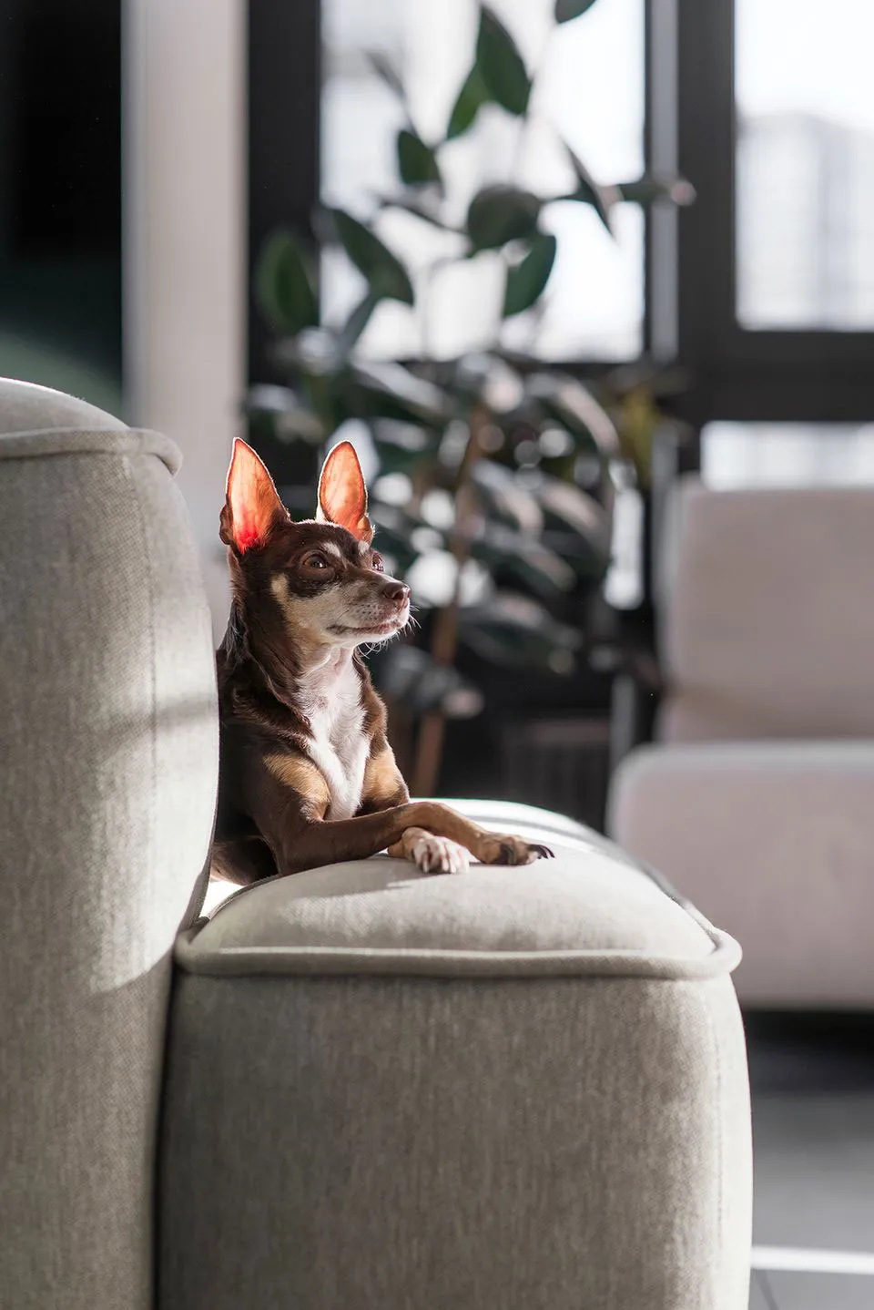 Stylowy czarno-biały interior z zielonymi akcentami dla młodej rodziny w Kijowie (69 m²) - Gallery image 8