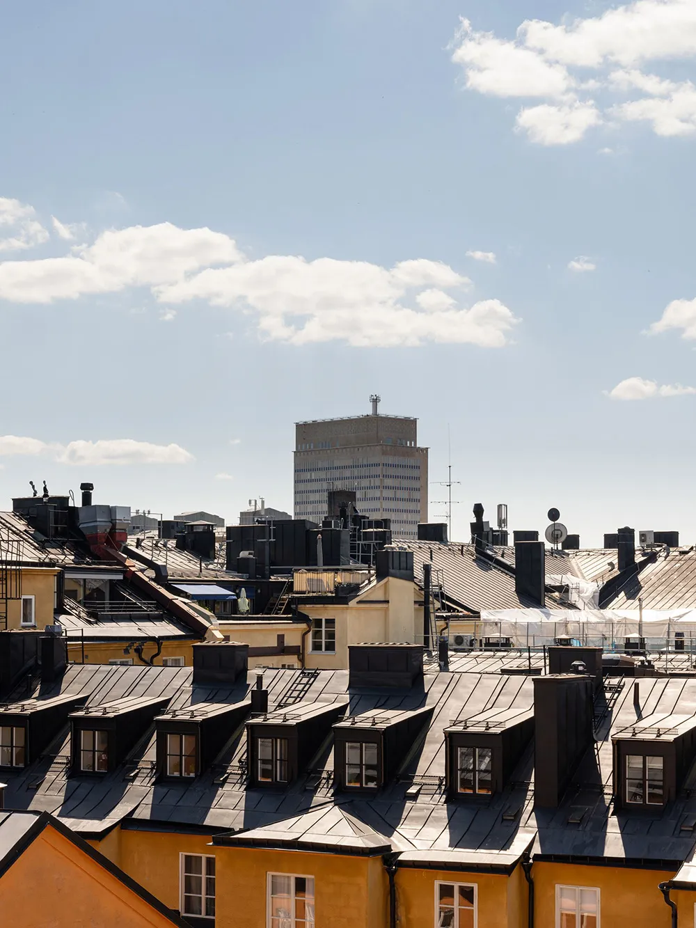 Cozy Apartment Under the Roof with Fantastic Views of Stockholm Roofs (80 sqm) - Gallery image 29