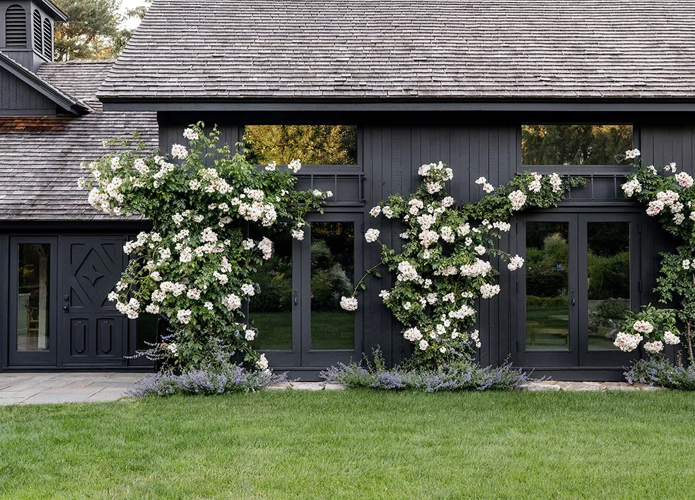 काली फ़ासाद एवं हल्के भीतरी डिज़ाइन: अमेरिका में स्थित एक सुंदर कॉटेज, जिसमें ग्रामीण शैली में सजावट की गई है. - Gallery image 3