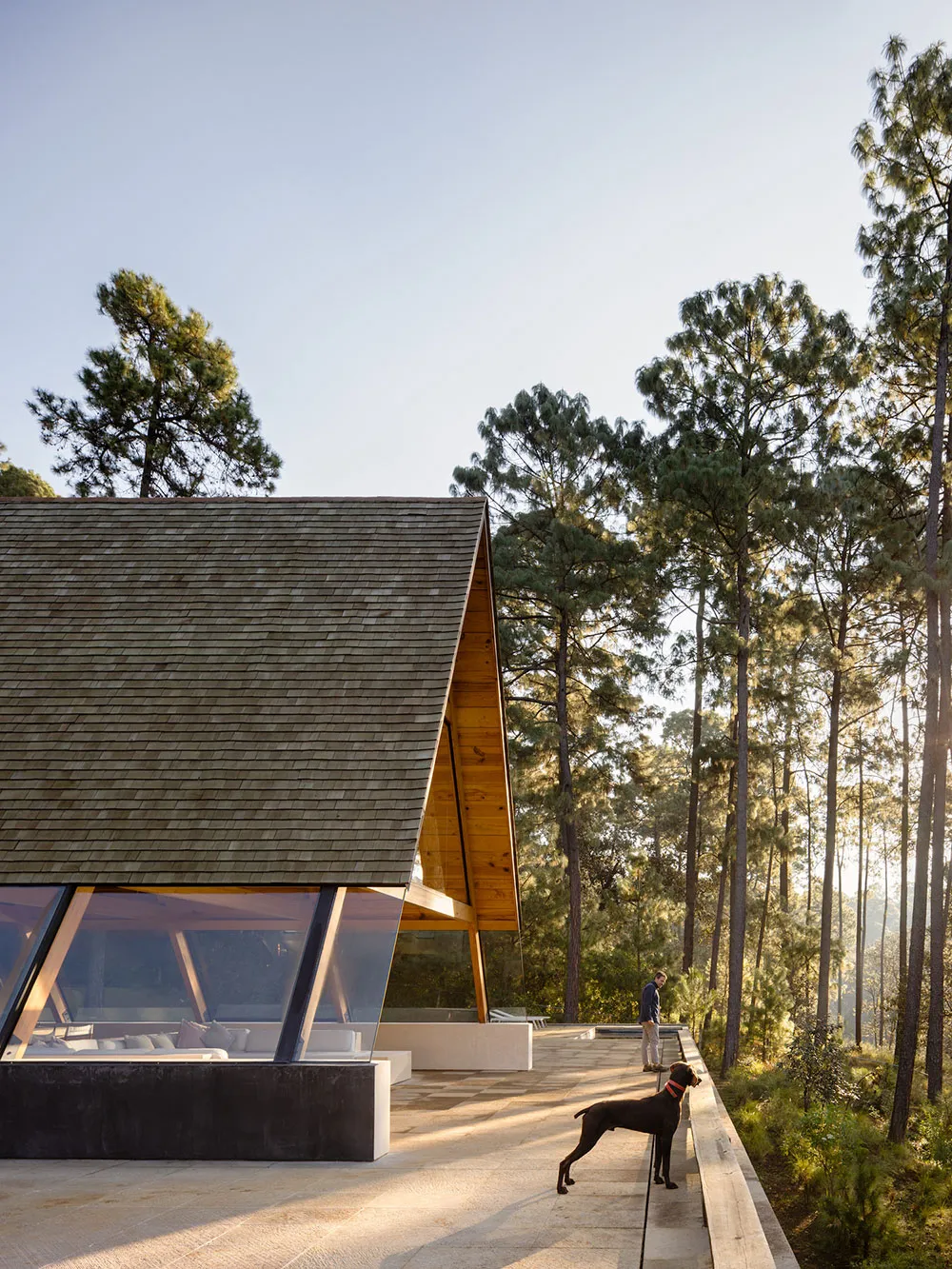 Dom w kształcie litery A pośrodku lasu w Meksyku - Gallery image 11