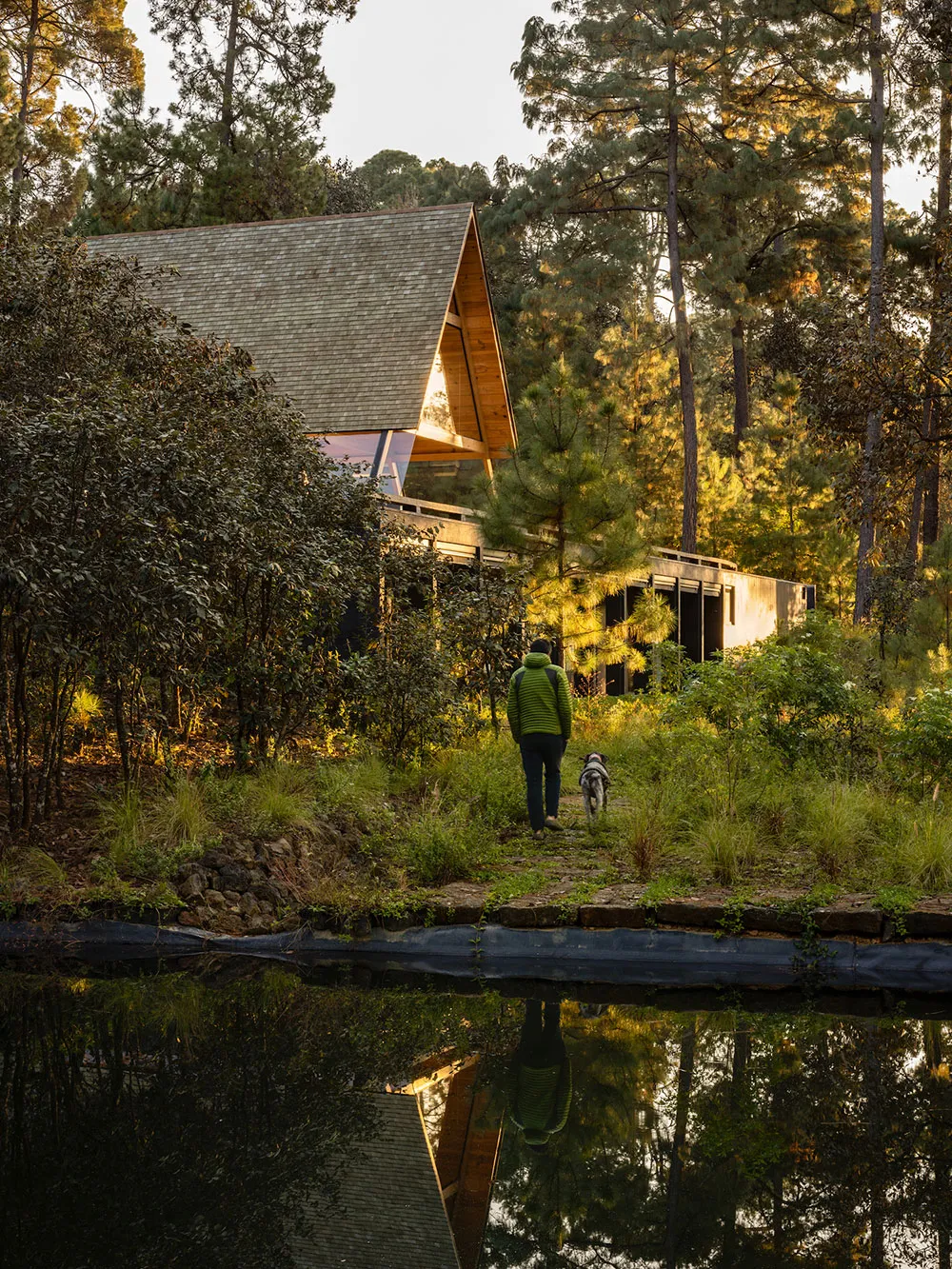 Dom w kształcie litery A pośrodku lasu w Meksyku - Gallery image 12