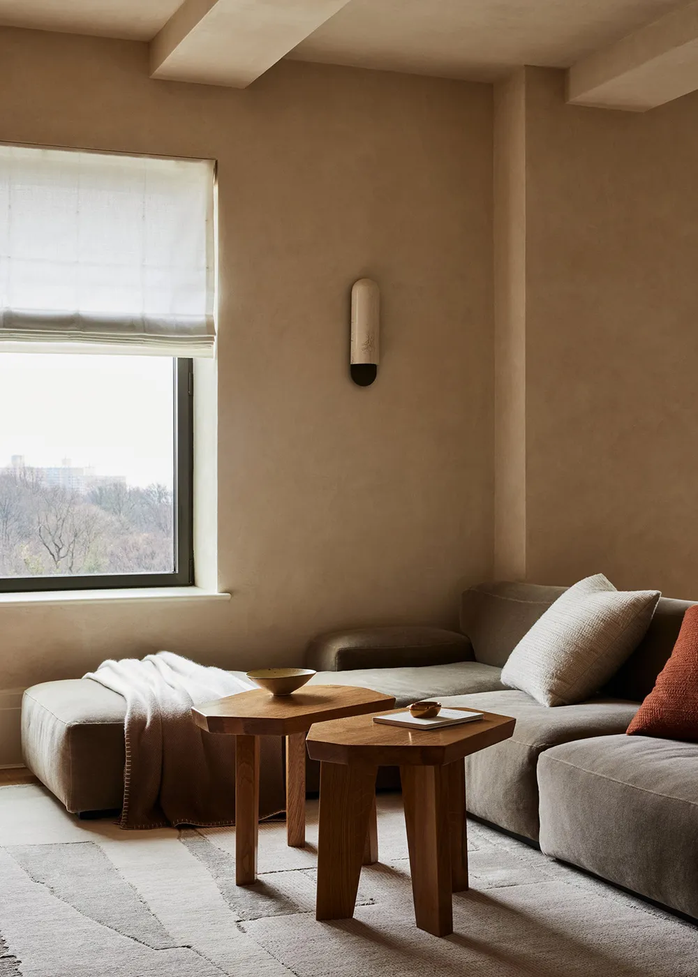 Minimalismo natural de una pequeña apartamento en Nueva York - Gallery image 1