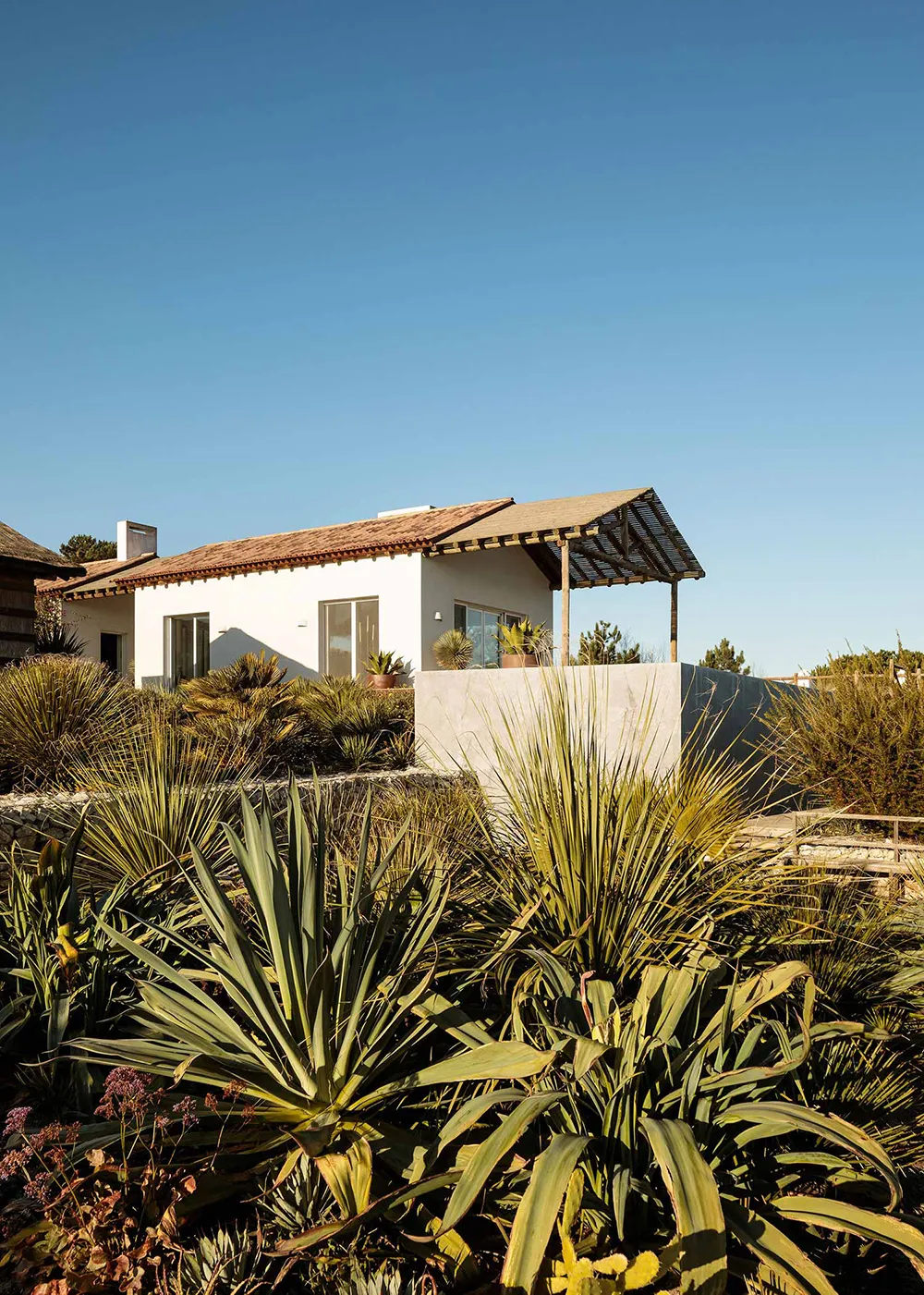 Солнечные интерьеры пляжного дома в Португалии - Gallery image 3