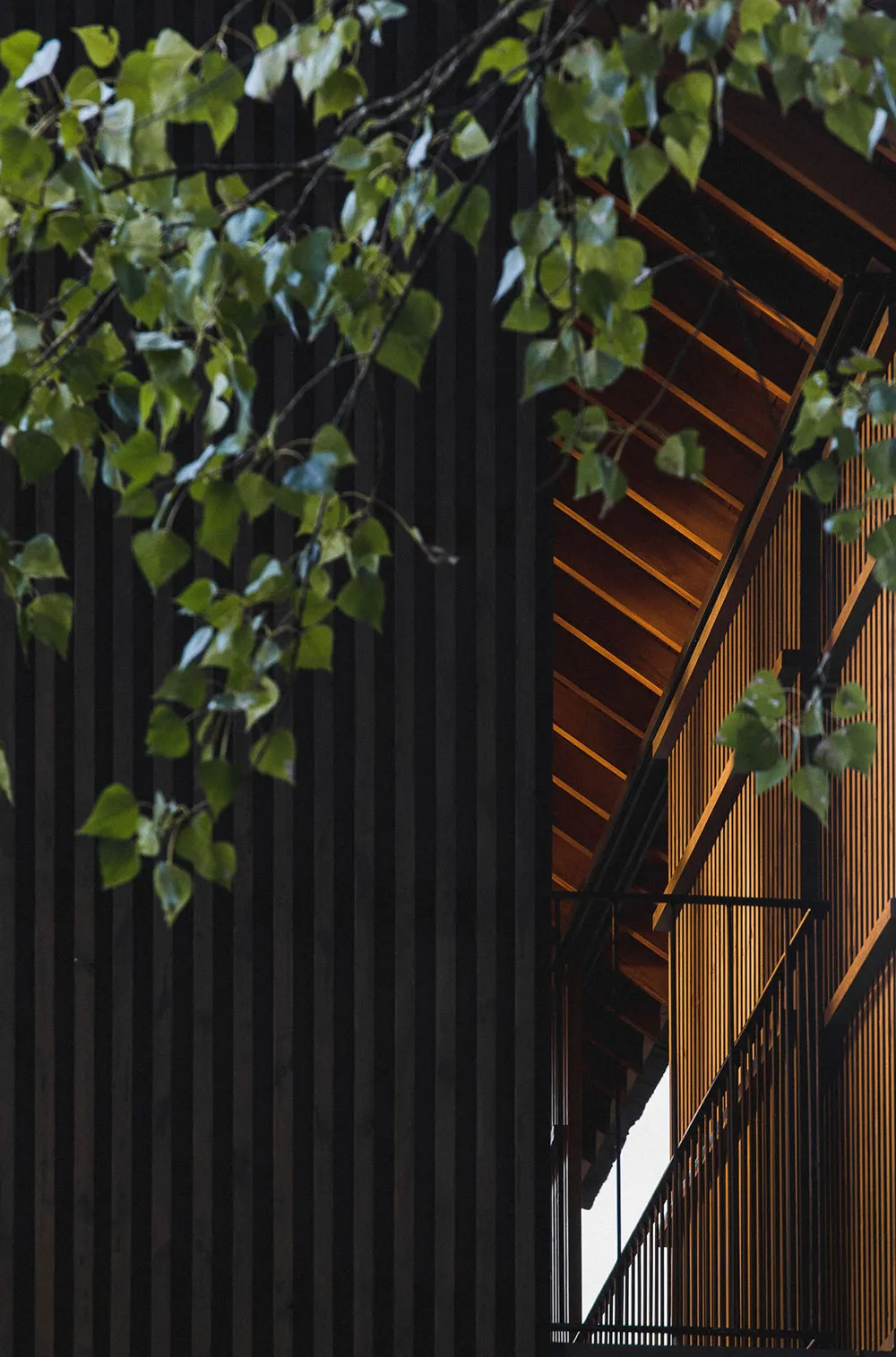 Small Cottage by the River in the Forest of Portugal - Gallery image 11