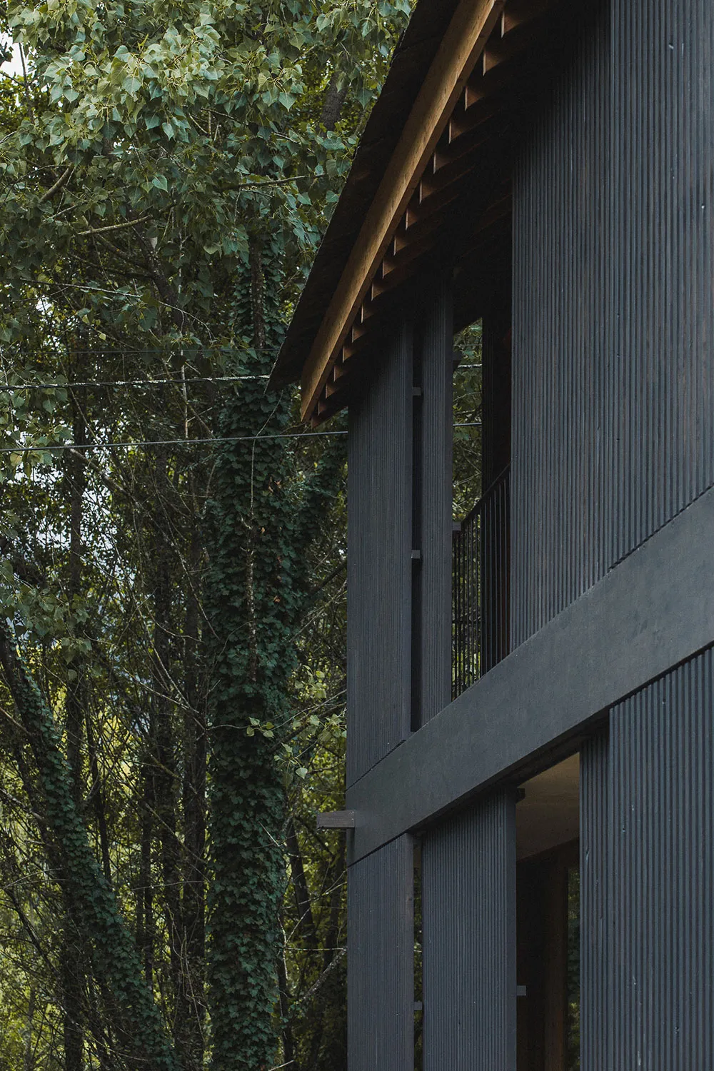 Small Cottage by the River in the Forest of Portugal - Gallery image 13