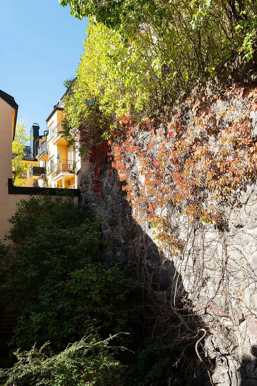 Стильний інтер'єр малої квартири з видом на кам'яну стіну (44 кв. м) - Gallery image 15