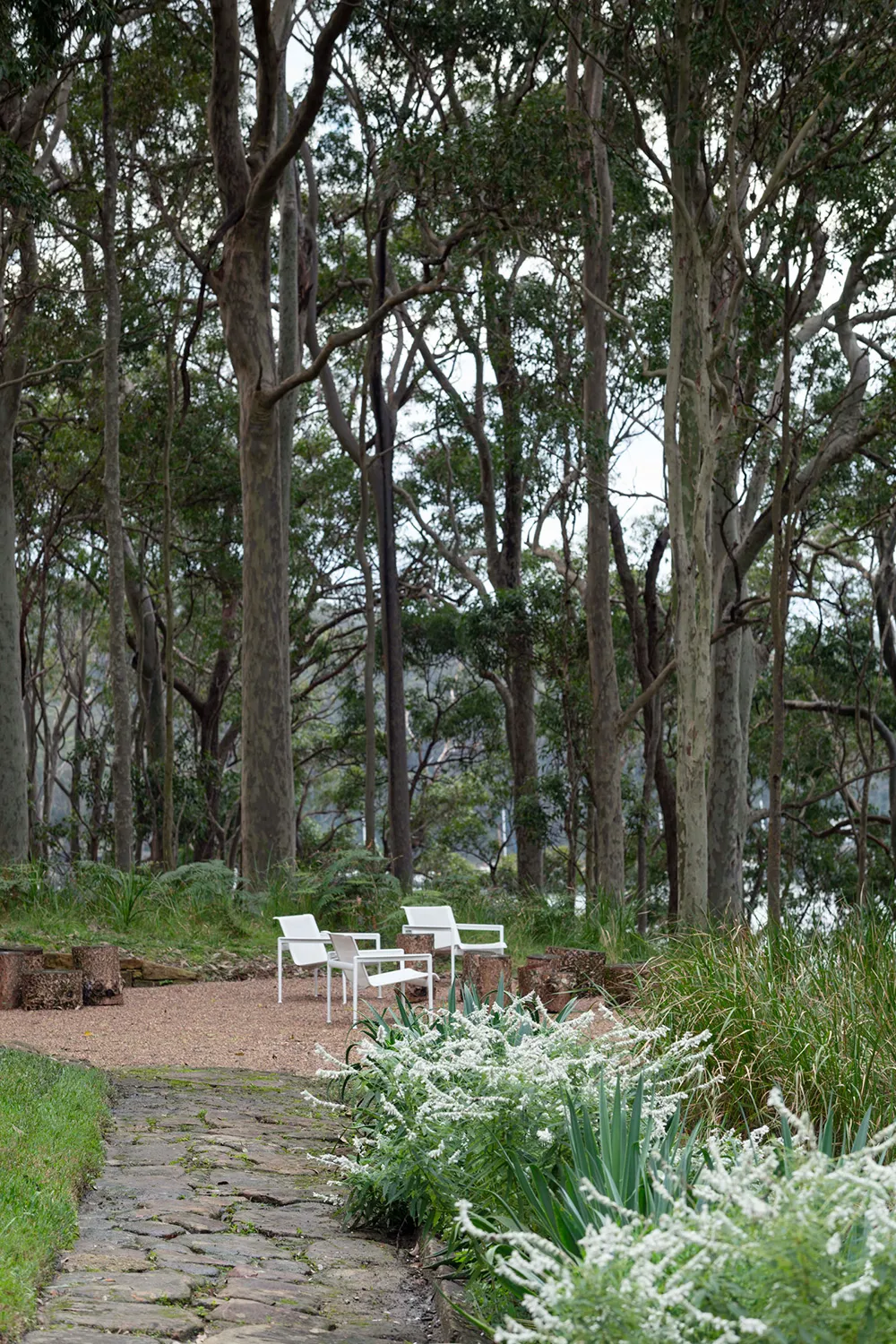Amenos interiores de madera en un antiguo coto de campo en la costa de Australia - Gallery image 11