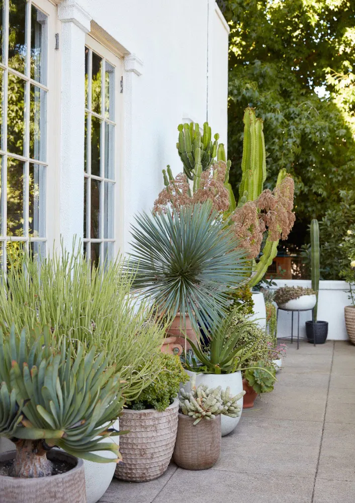 Joyeuses teintes estivales dans le design d'une villa espagnole en Californie - Gallery image 12