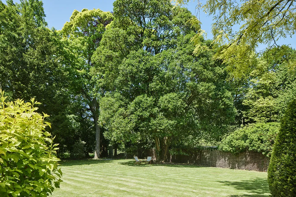 Un encantador coto inglés sumergido en la vegetación - Gallery image 29