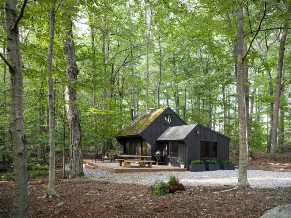 Forest Cabin in Modern Style: Cottage in Connecticut - Gallery image 2