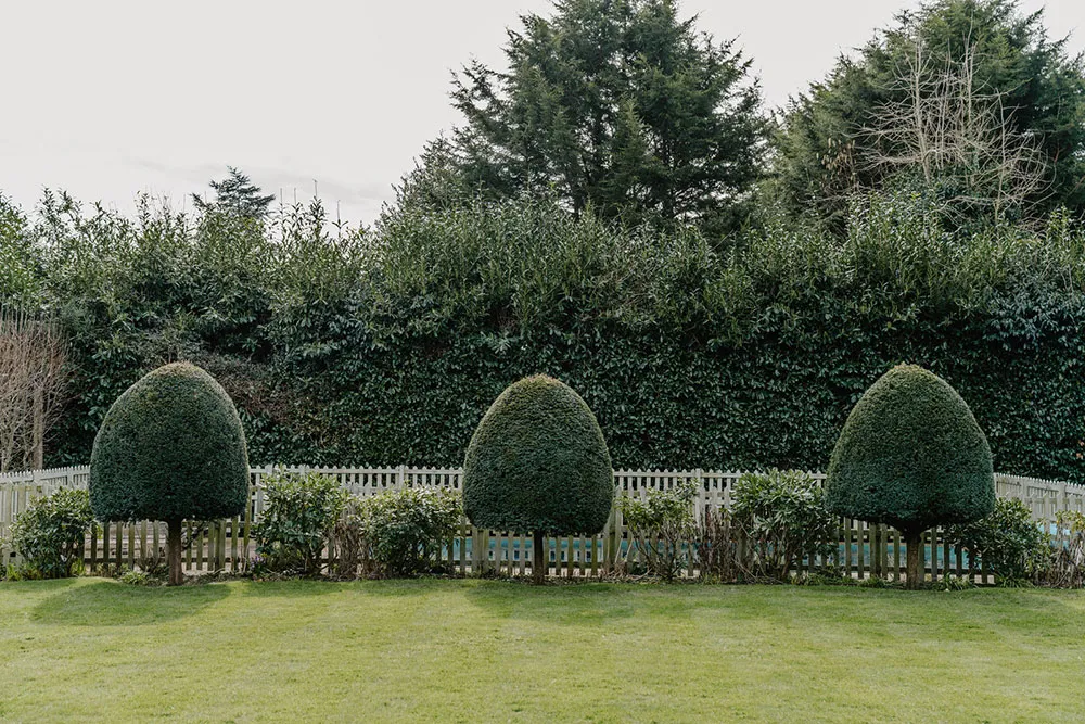 Charm of a Historic Georgian Mansion in Hampshire - Gallery image 24