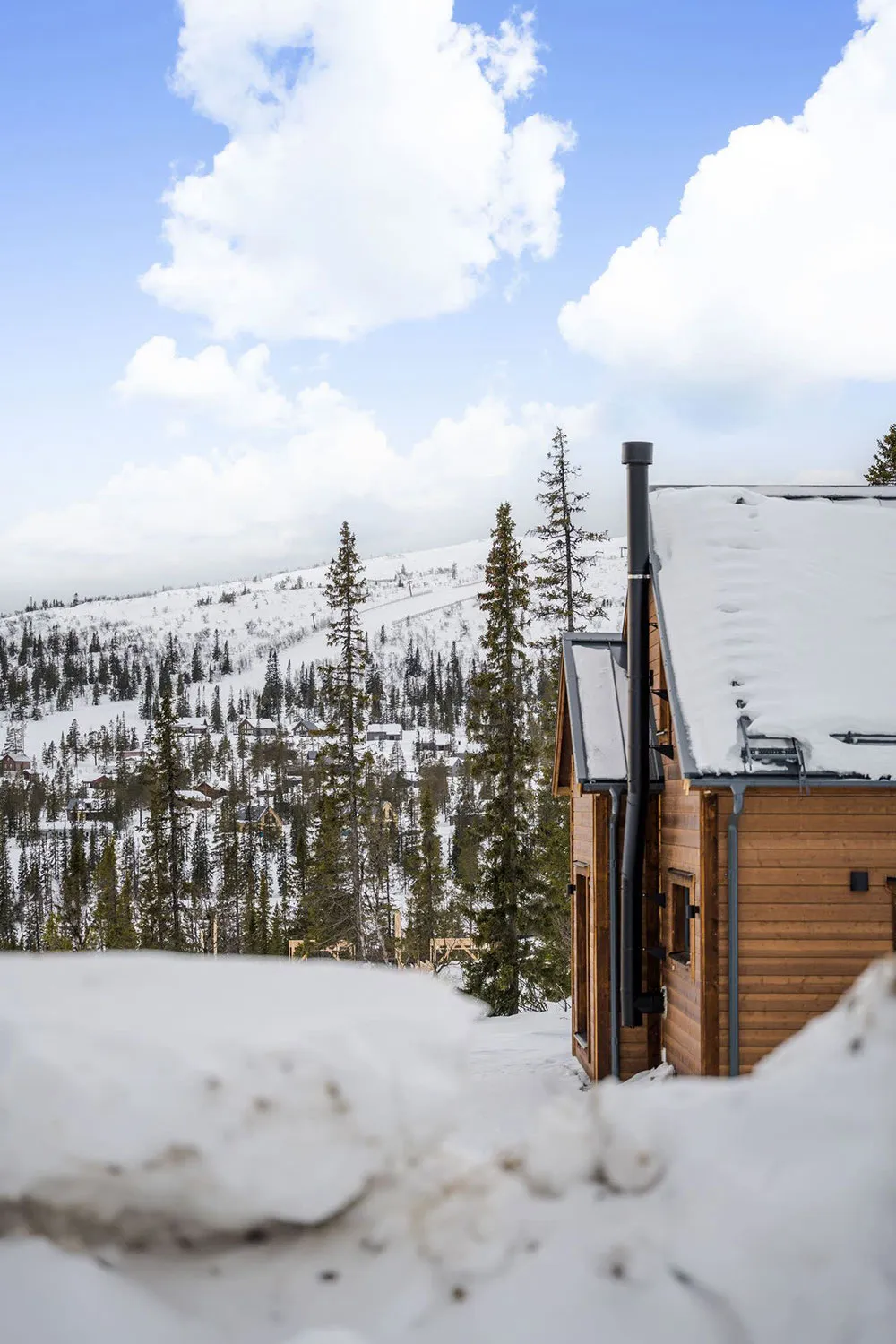 Bois, cuir, fourrure : un chalet alpin confortable dans les montagnes - Gallery image 4