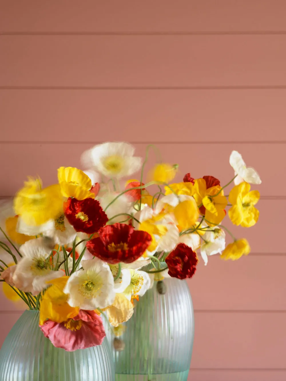 Красивые оттенки и винтаж в обновленном дизайне старинной фермы в Австралии - Gallery image 5