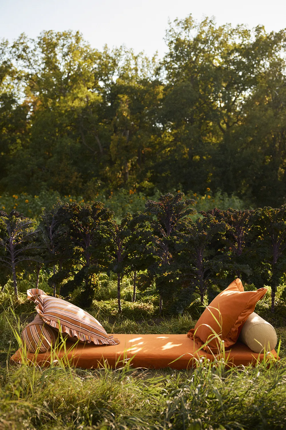 Запах лета в новых работах фотографа Idha Lindhag - Gallery image 10