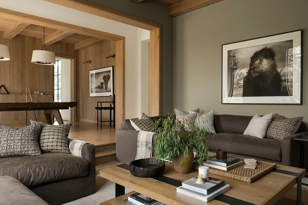 Agradable mezcla del estilo tradicional y moderno en el diseño de casas en Texas - Gallery image 20