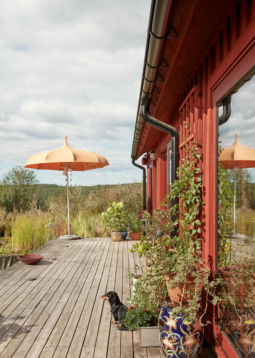 Una casa de campo brillante y acogedora de un periodista en Suecia - Gallery image 10