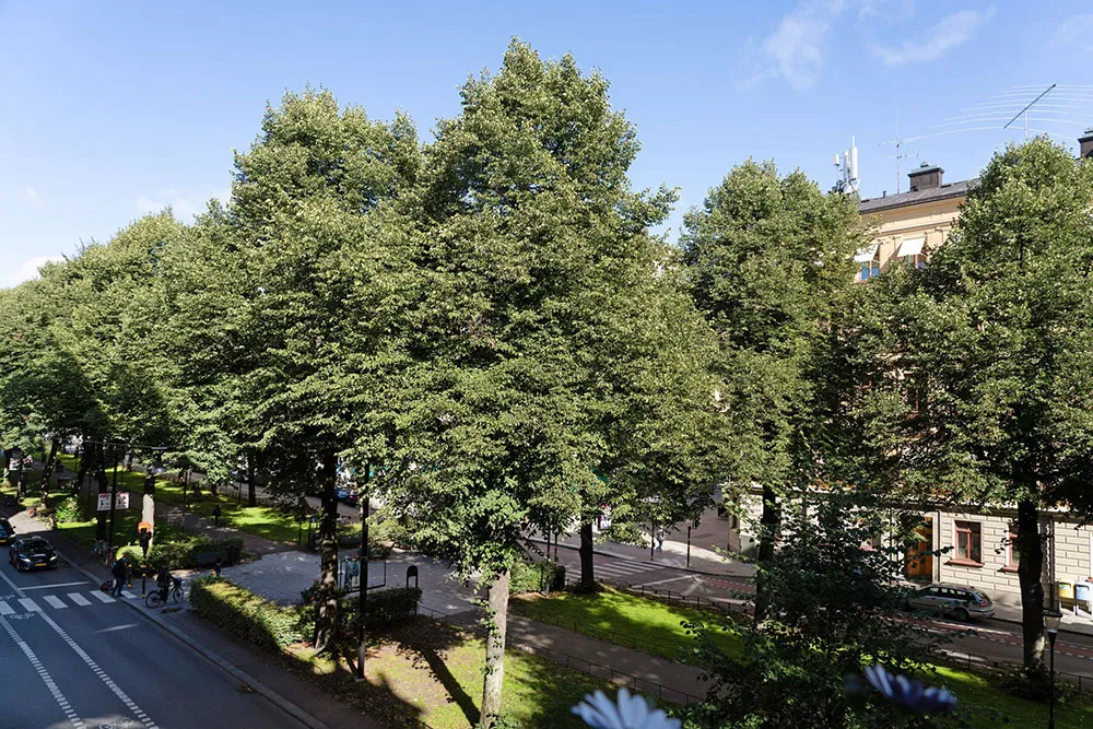 Black Kitchen and Park View: Small Modern Apartment in Stockholm (37 sqm) - Gallery image 14