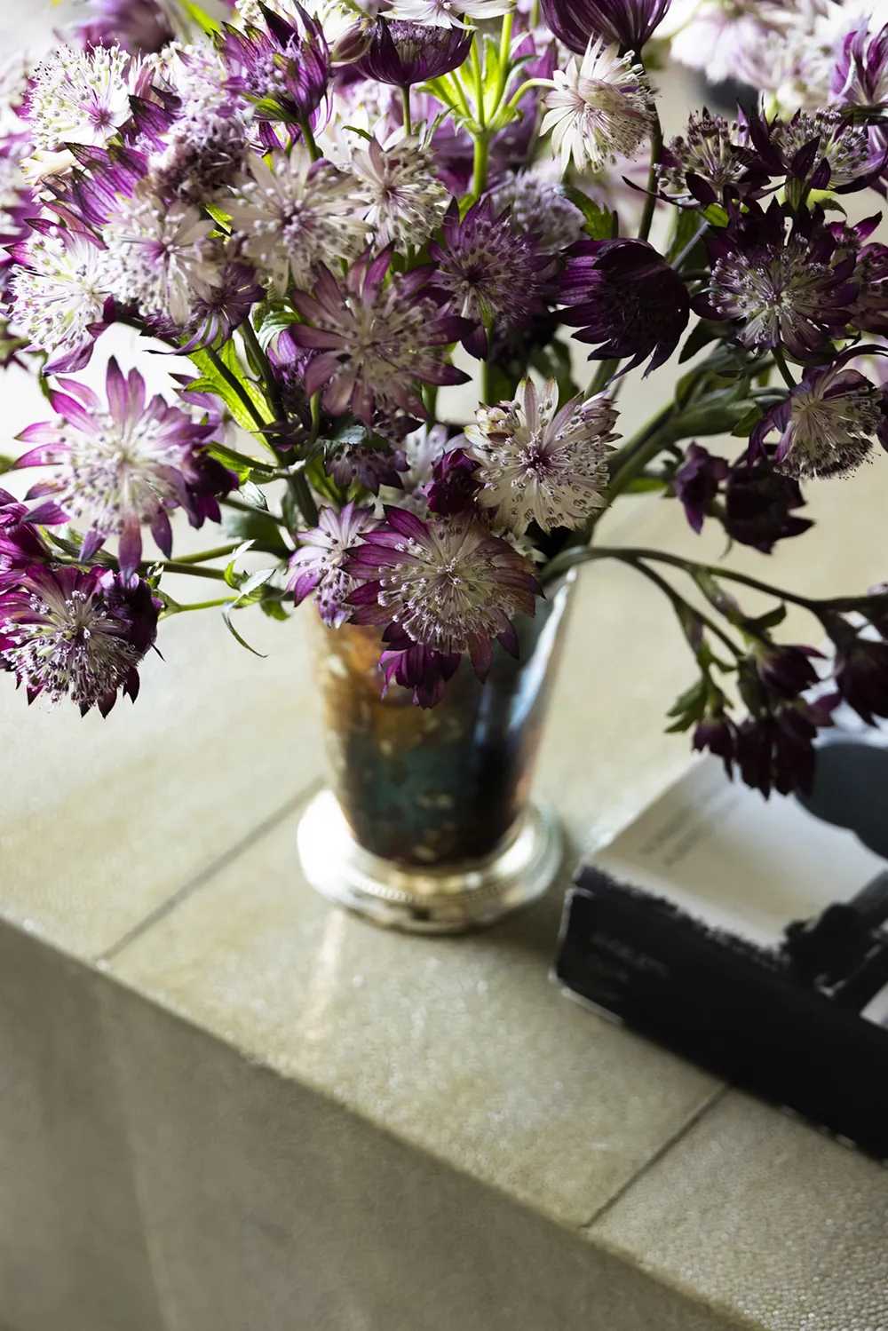 पारंपरिक लेकिन हल्का एवं आकर्षक: चार्ल्सटन में स्थित “आइलैंड हाउस” - Gallery image 19