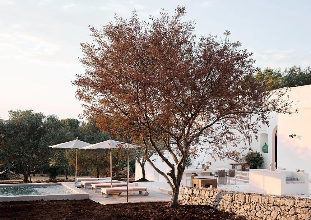 Відпочинок із історією: вілла 300-річної давнини в Апулії - Gallery image 24