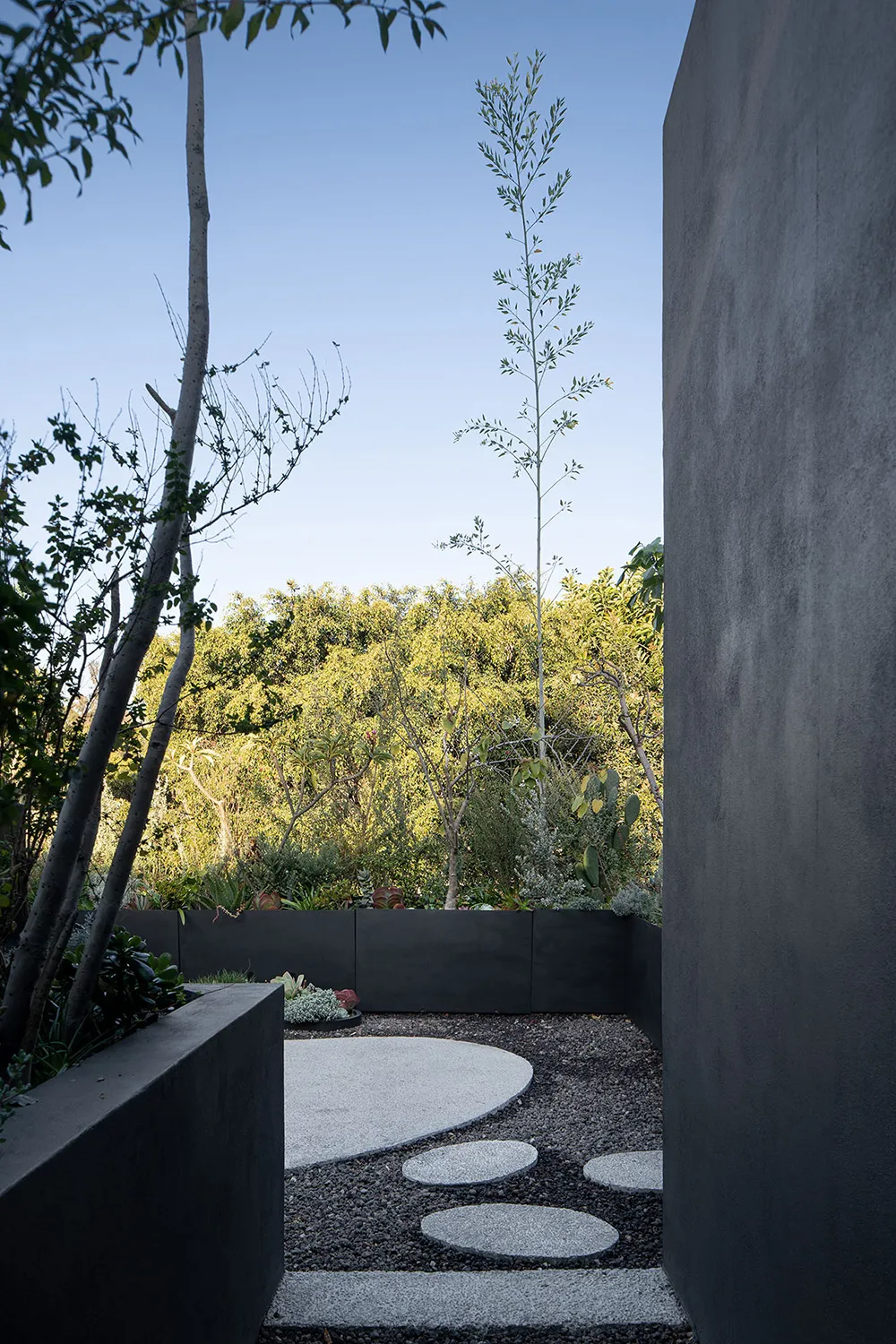 Spiel natürlichen Lichts in einem warmen, minimalen Interior in Mexiko - Gallery image 22