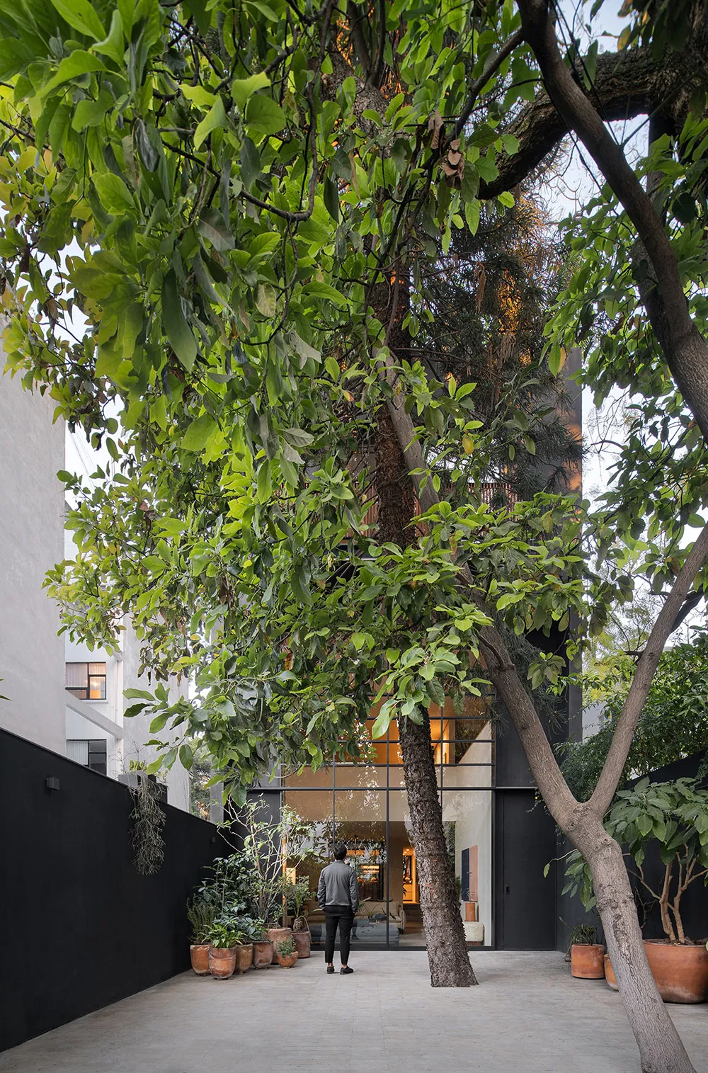 Spiel natürlichen Lichts in einem warmen, minimalen Interior in Mexiko - Gallery image 23