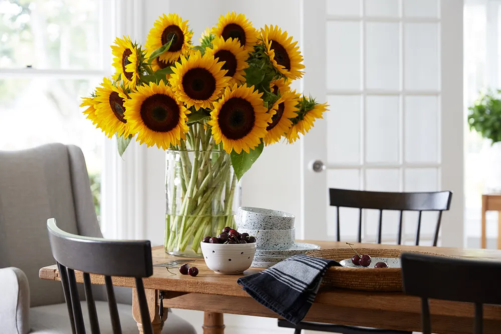 Gemütliche Ferienhaus auf Long Island mit weißen Innenräumen - Gallery image 5