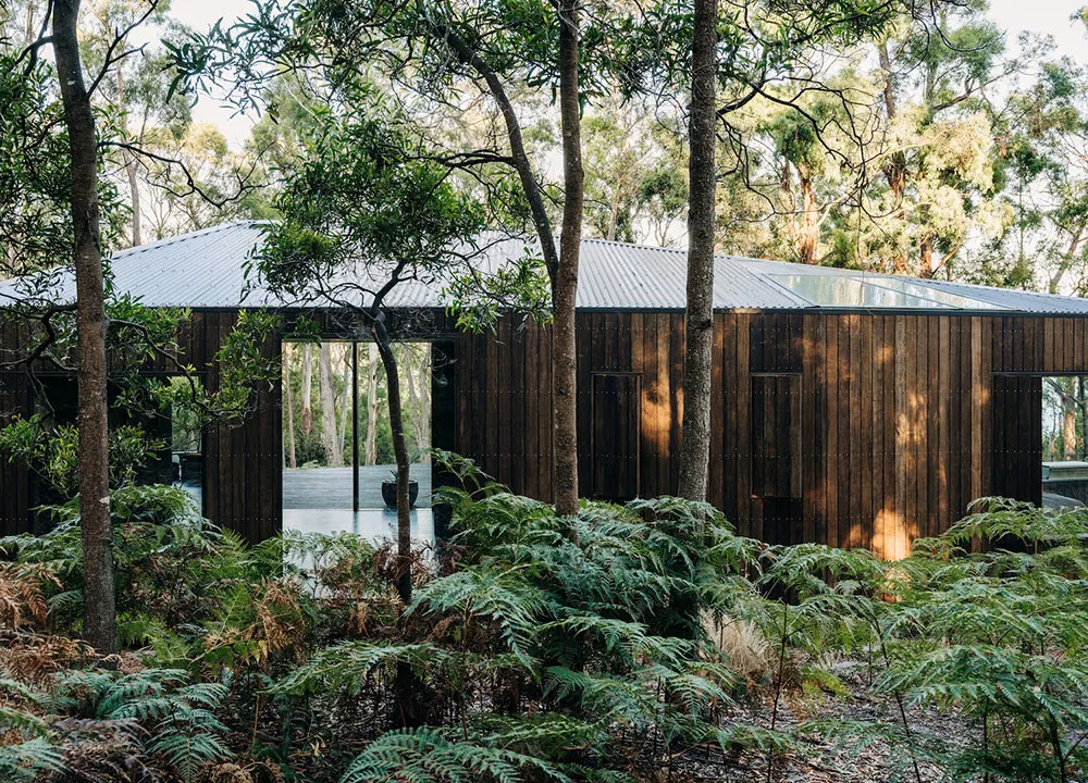 Stylischer kleiner Haus im Wald, der sich mit der Natur verschmolzen hat - Gallery image 2