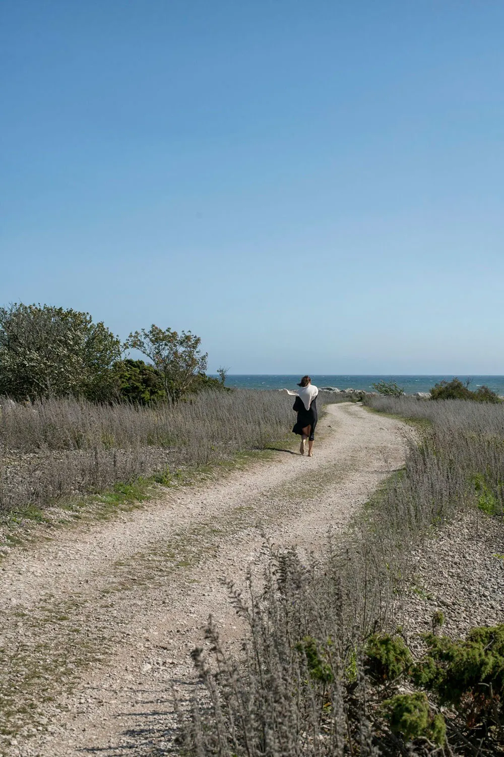 Spokój dzikiej natury na wyspie Gotland - 12