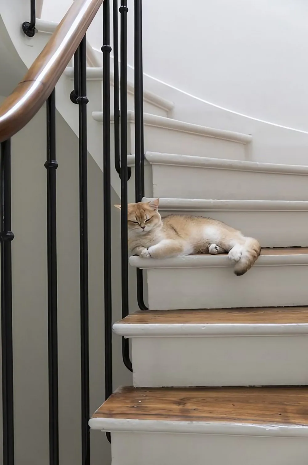 Французский дизайн вне времени: реновация дома в пригороде Парижа - Gallery image 10