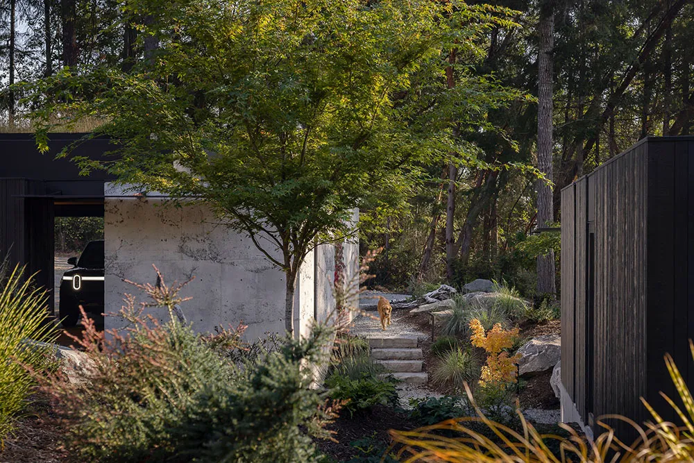 Verre, bois et béton : une maison minimaliste au bord d'un lac dans l'État de Washington - Gallery image 4