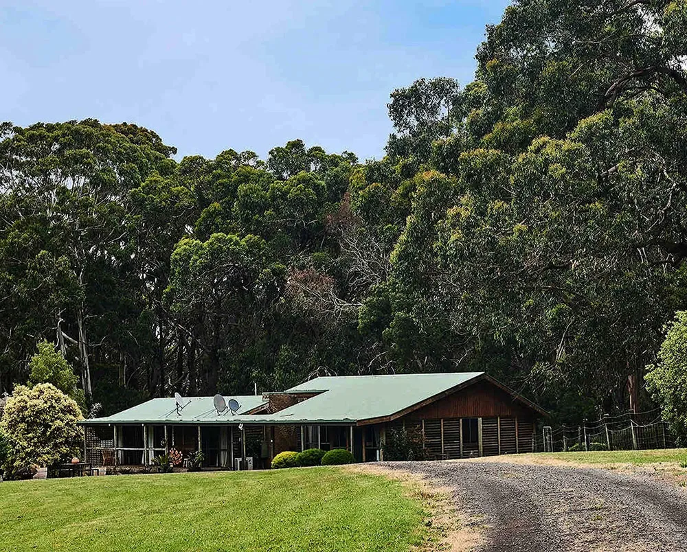 Яркий и игривый дизайн деревянного дома в Австралии - Gallery image 18