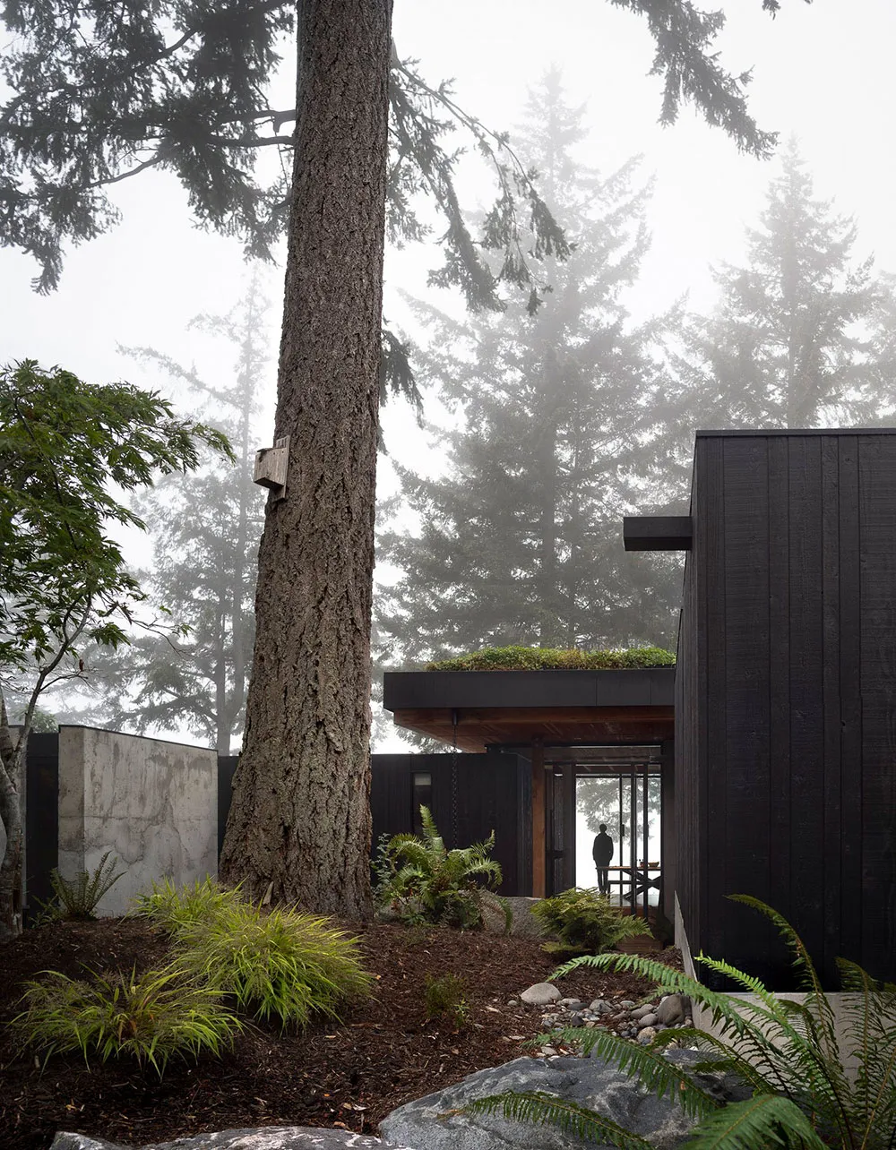 Verre, bois et béton : une maison minimaliste au bord d'un lac dans l'État de Washington - Gallery image 22