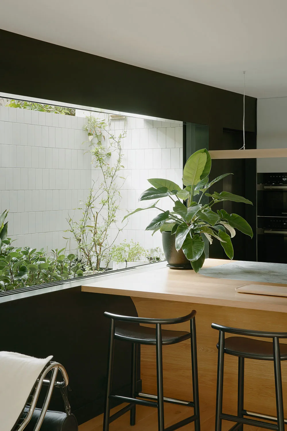 Wпечатujący otwarty przestrzeń z drugim światłem: domy w Brisbane - Gallery image 10