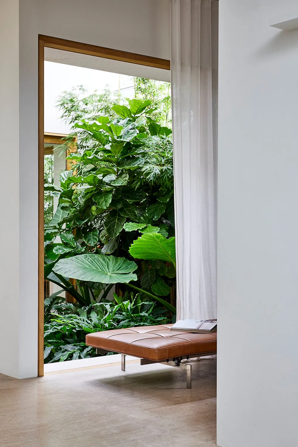 シドニーにある、裸足で歩きたくなるようなモダンな家 - Gallery image 18