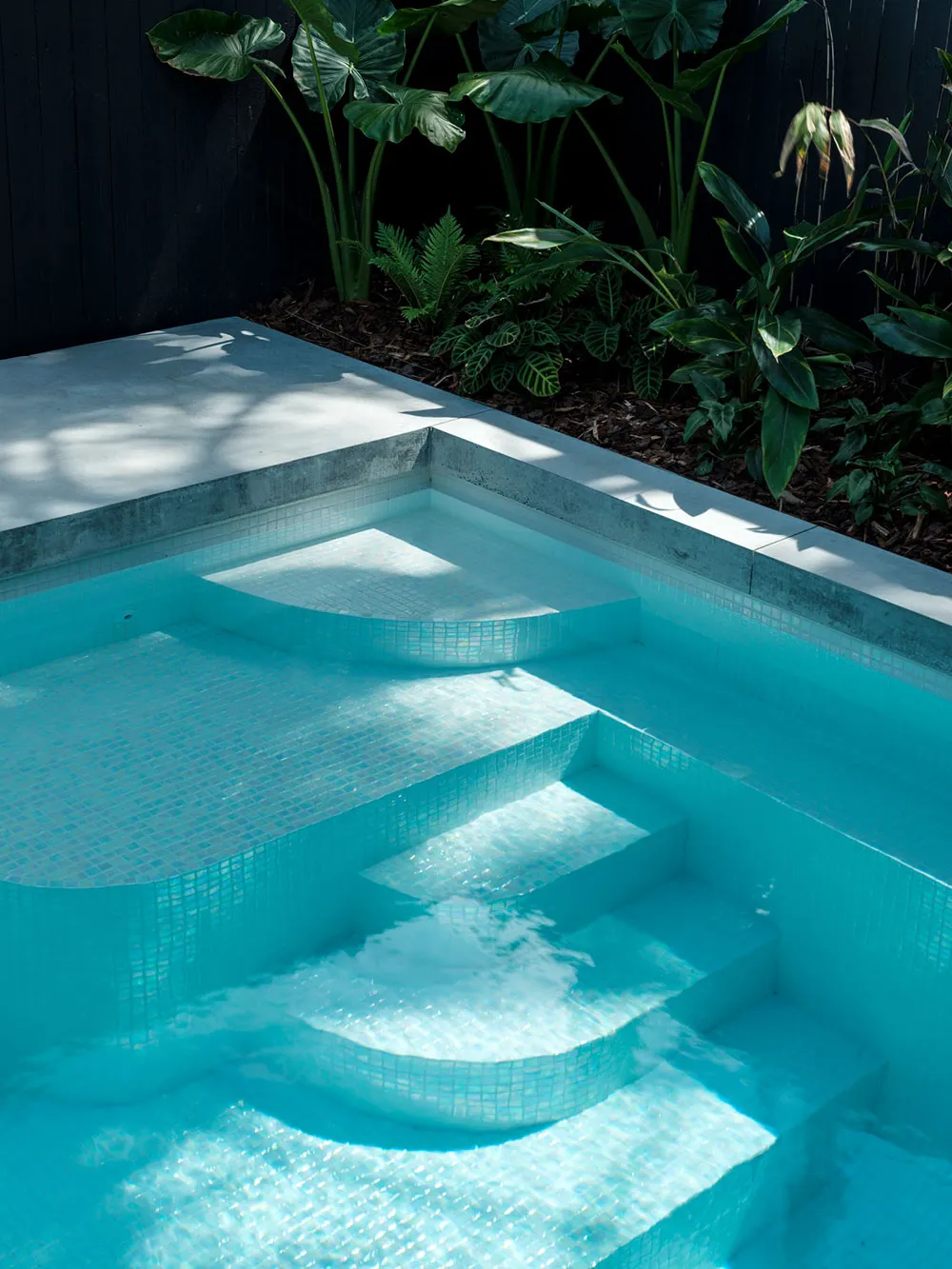 Diseño moderno luminoso con fuertes contrastes en Sídney - Gallery image 22