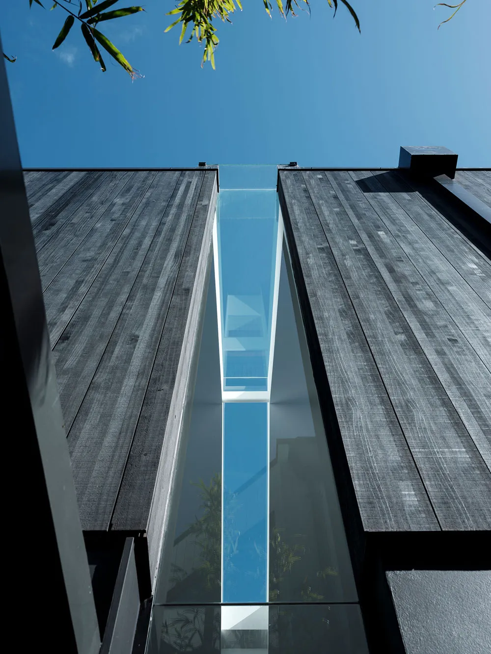 Diseño moderno luminoso con fuertes contrastes en Sídney - Gallery image 10