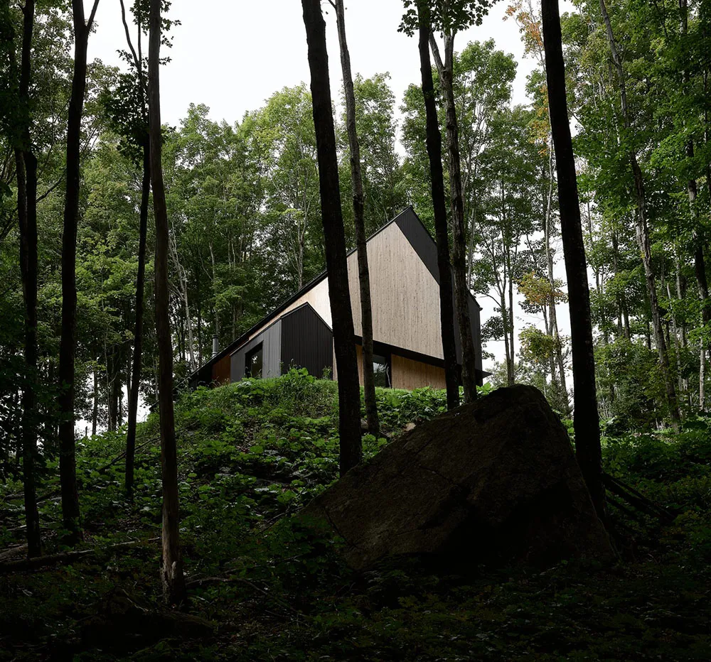 Stylischer Holzhütte im Wald mit hellen modernen Interieurs - Gallery image 1