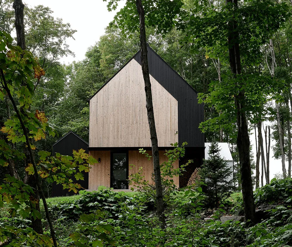 Stylischer Holzhütte im Wald mit hellen modernen Interieurs - Gallery image 2